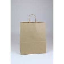 Brown Paper Bag w/handles